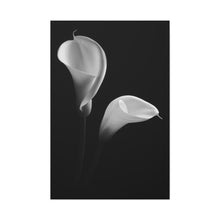 Load image into Gallery viewer, Calla Lily - Wrapped Canvas Art