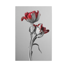 Load image into Gallery viewer, Red And Grey Tulips - Wrapped Canvas Art