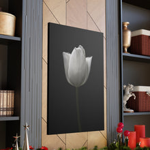 Load image into Gallery viewer, Tulip - Wrapped Canvas Art