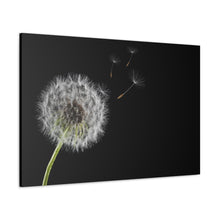 Load image into Gallery viewer, Dandelion - Wrapped Canvas Art