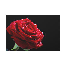 Load image into Gallery viewer, Bright Red Rose - Wrapped Canvas Art