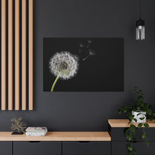 Load image into Gallery viewer, Dandelion - Wrapped Canvas Art