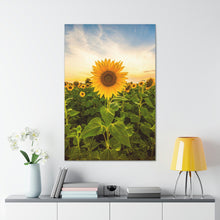 Load image into Gallery viewer, Sunflower - Wrapped Canvas Art