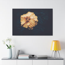 Load image into Gallery viewer, Vintage Hibiscus Flower - Wrapped Canvas Art