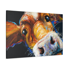 Load image into Gallery viewer, Cow Face - Wrapped Canvas Art
