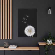Load image into Gallery viewer, Dandelion In The Wind - Wrapped Canvas Art