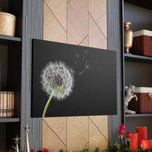 Load image into Gallery viewer, Dandelion - Wrapped Canvas Art