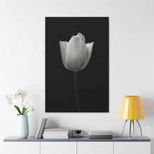 Load image into Gallery viewer, Tulip - Wrapped Canvas Art