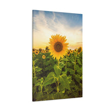 Load image into Gallery viewer, Sunflower - Wrapped Canvas Art