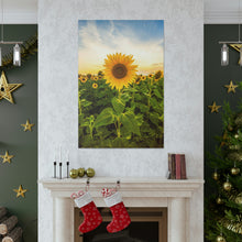 Load image into Gallery viewer, Sunflower - Wrapped Canvas Art