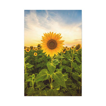 Load image into Gallery viewer, Sunflower - Wrapped Canvas Art