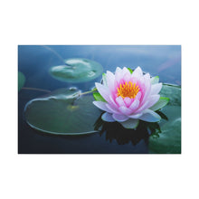 Load image into Gallery viewer, Lotus Flower And Lily Pads - Wrapped Canvas Art