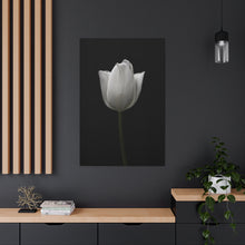Load image into Gallery viewer, Tulip - Wrapped Canvas Art
