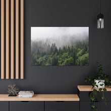 Load image into Gallery viewer, Forest Fog - Wrapped Canvas Art