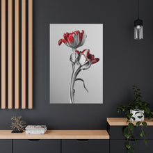 Load image into Gallery viewer, Red And Grey Tulips - Wrapped Canvas Art