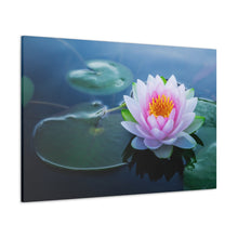 Load image into Gallery viewer, Lotus Flower And Lily Pads - Wrapped Canvas Art