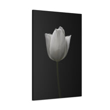 Load image into Gallery viewer, Tulip - Wrapped Canvas Art