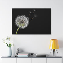 Load image into Gallery viewer, Dandelion - Wrapped Canvas Art