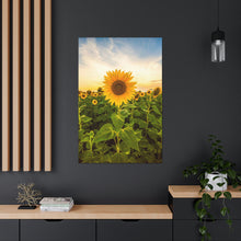 Load image into Gallery viewer, Sunflower - Wrapped Canvas Art