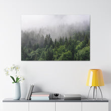 Load image into Gallery viewer, Forest Fog - Wrapped Canvas Art
