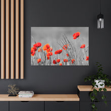 Load image into Gallery viewer, Red Poppies - Wrapped Canvas Art
