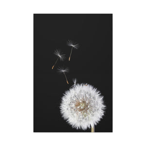 Dandelion In The Wind - Wrapped Canvas Art