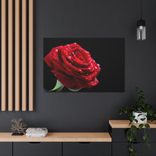 Load image into Gallery viewer, Bright Red Rose - Wrapped Canvas Art
