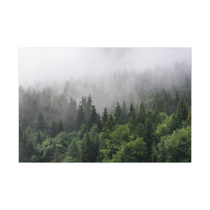 Forest Fog - Wrapped Canvas Art