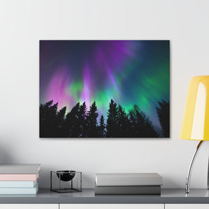 Northern Lights - Wrapped Canvas Art
