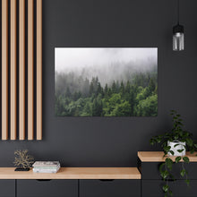 Load image into Gallery viewer, Forest Fog - Wrapped Canvas Art
