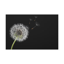 Load image into Gallery viewer, Dandelion - Wrapped Canvas Art
