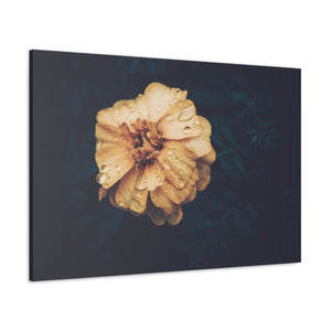 Vintage Hibiscus Flower - Wrapped Canvas Art