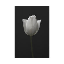 Load image into Gallery viewer, Tulip - Wrapped Canvas Art
