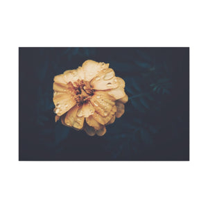 Vintage Hibiscus Flower - Wrapped Canvas Art